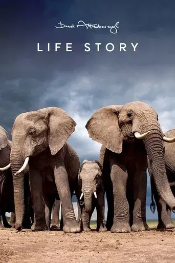 Life Story